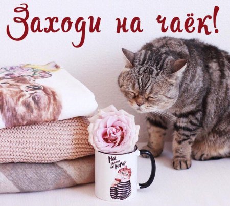 Доброе утро жду тебя в гости