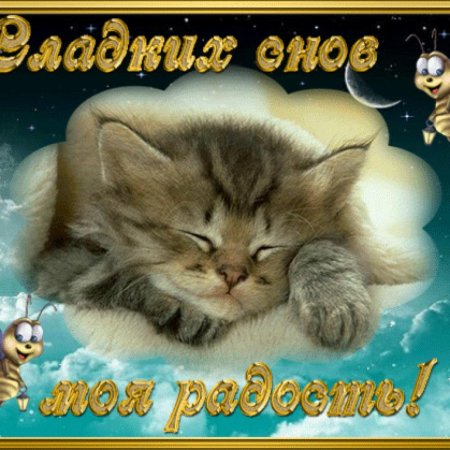 Открытки спокойной ночи