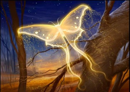 Бабочки фэнтези