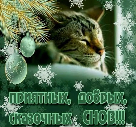 Приятных зимних снов