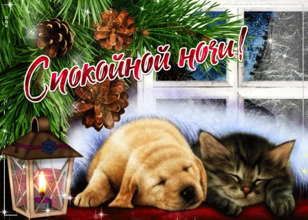 Спокойной зимней ночи сладких снов
