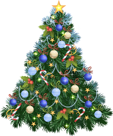 Ель на белом фоне