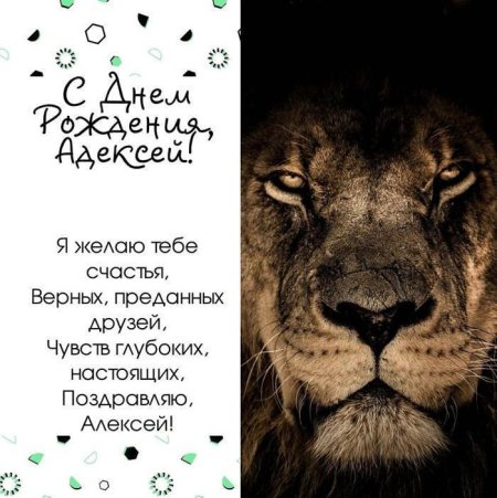С днём рождения Алексей