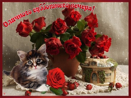 Открытки добрый вечер субботы