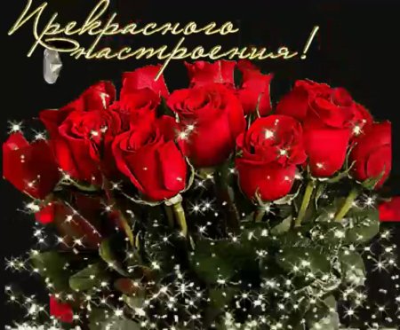 Прекрасного субботнего вечера