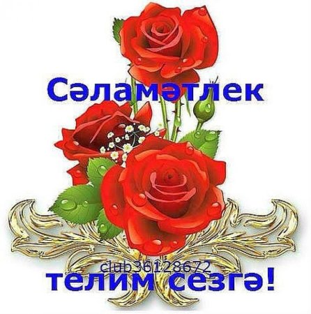 Стикеры на татарском