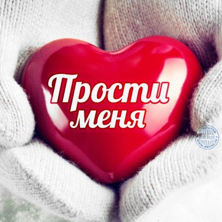 Открытка прости меня