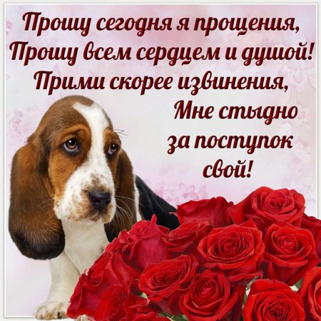 Открытка с извинениями подруге
