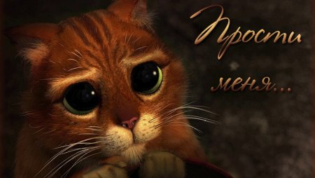Прости меня