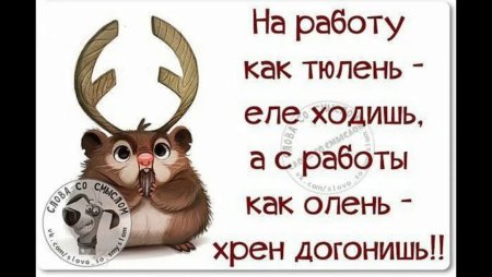 Прикольные высказывания про работу