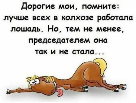 Цитаты про работу смешные