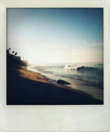 Волкер Эванс полароид