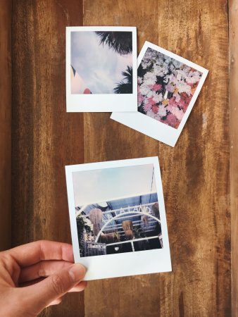 Полароид 10x13.5