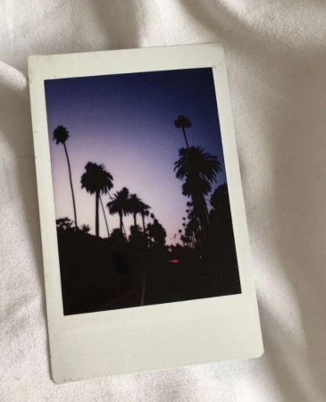 Полароидные снимки