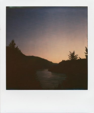 Полароидные снимки природы