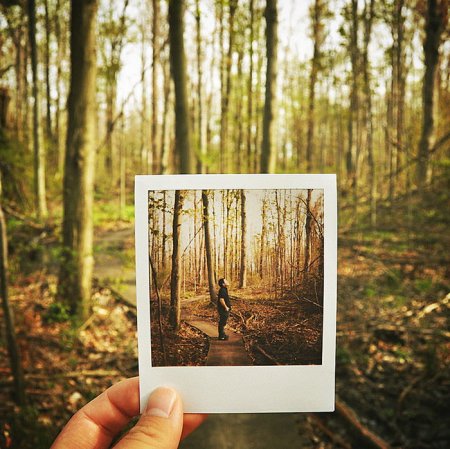 Полароидные снимки