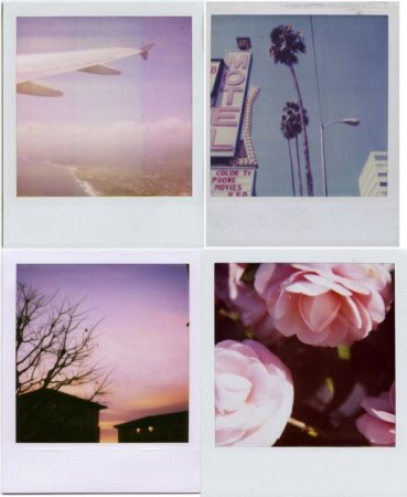 Полароид красивый