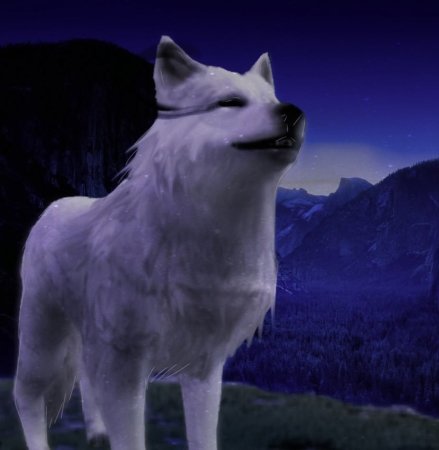 Ka Cayla Ice Wolf