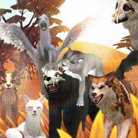 WILDCRAFT мистика