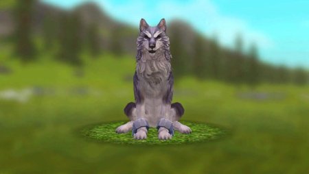Мистик Волчонок WILDCRAFT