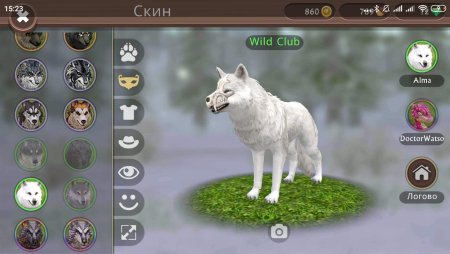 Вилд крафт вилд клуб волк