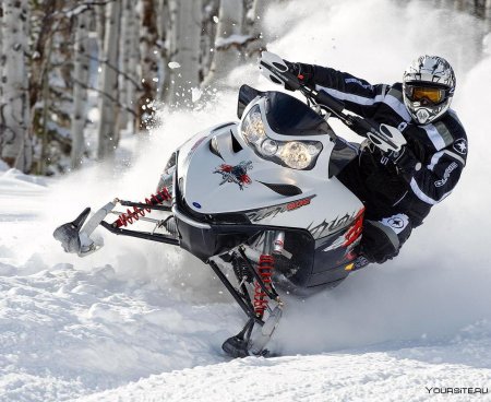 Горный снегоход BRP