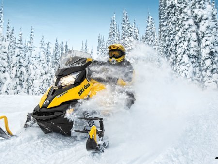 Квадроцикл Ski-Doo