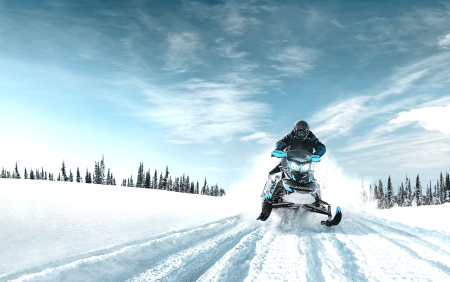 Снегоход БРП В лесу