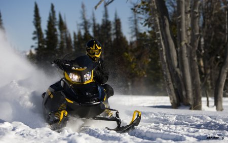 Спортивный снегоход Ski Doo