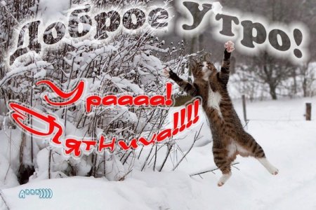 Пятница зима