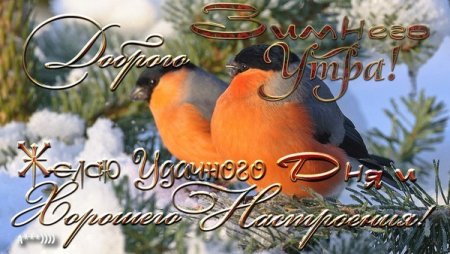 Доброе зимнее утро пятницы