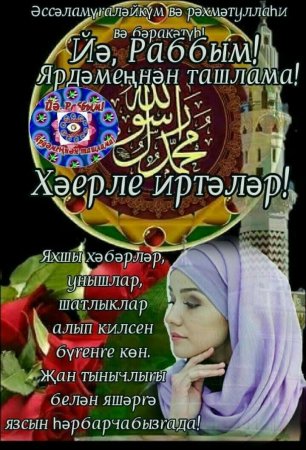 Жомга кон