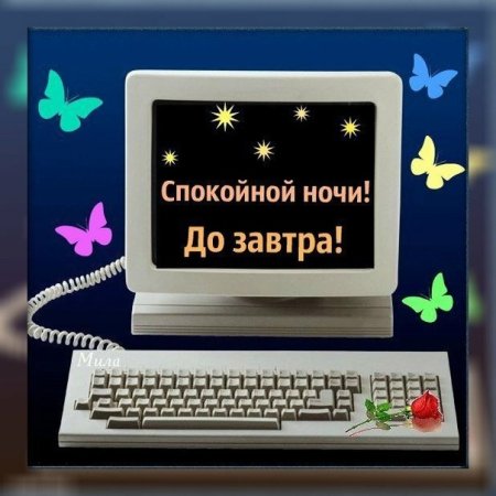 Спокойной ночи до завтра