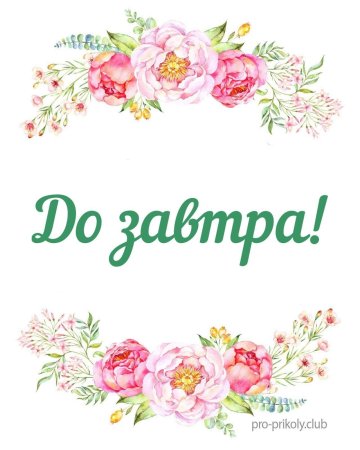 Стикеры для ватсап с надписями