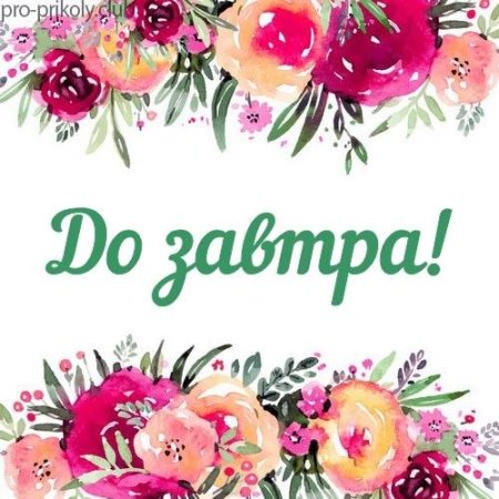 Пока пока до завтра