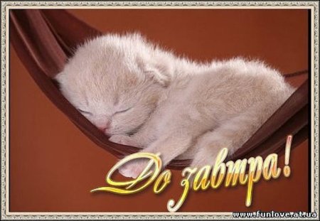 Пока я спать спокойной ночи сладких снов