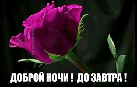 Доброй ночи Надюша