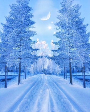 Зимняя природа