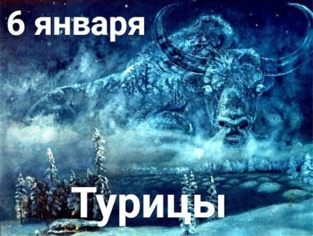 6 Января Турицы зимние