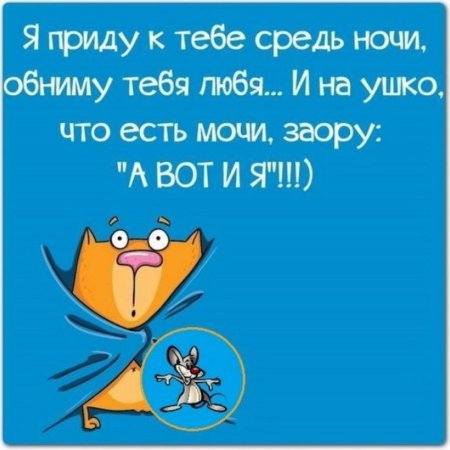 Прикольные пожелания спокойной ночи