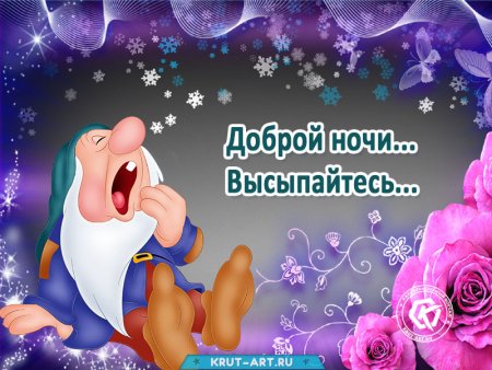 Прикольные пожелания спокойной ночи