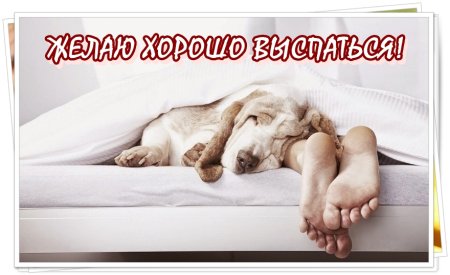 Спокойной ночи мужчине прикольные