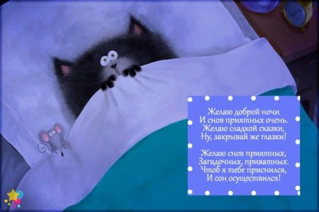 Пожелания спокойной ночи прикольные смешные