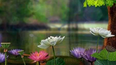 Умиротворяющая природа