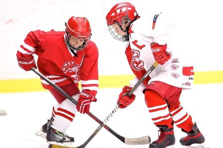 Шайба "хоккеист"