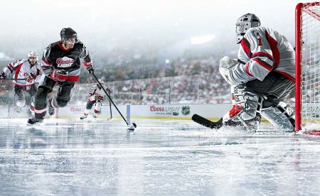 Профессиональный хоккеист