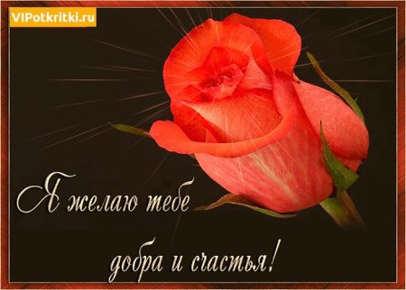 Пожелания счастья и добра
