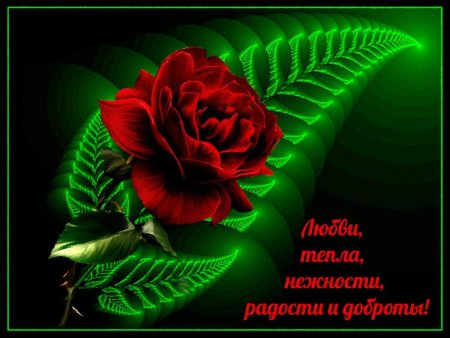 Пожелания душевного тепла