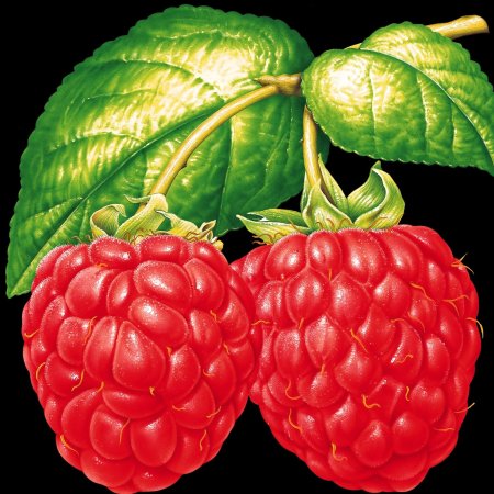 Ягодка Малинка для детей