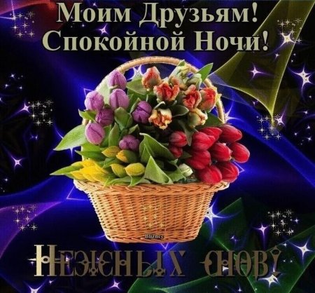 Спокойной ночи друзья